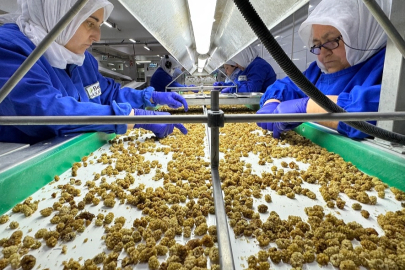 Çin’de organik sektörü 15 milyar dolarlık hacme ulaştı