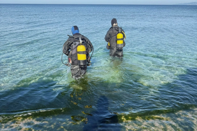 Marmara Denizi’nin Ekolojik Yapısı Mercek Altında