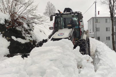 Trabzon Büyükşehir'in kış mesaisi başladı
