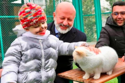 Türkiye’de İlk Olan Küçük Dostlar Ambulansı İle 10 Bin 280 Can Kurtarıldı