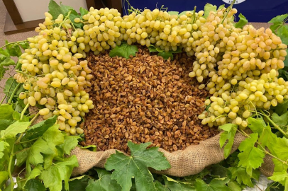 Kuru meyve sektörü 2025'i değerlendirdi