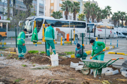 Muğla Milas yeşile bürünüyor