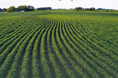 TAKE ile tarım arazileri daha verimli kullanılıyor