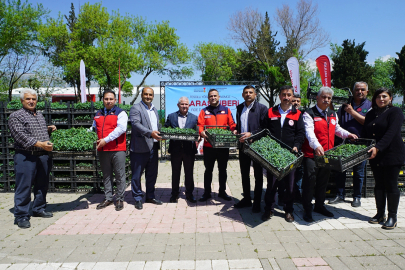 Kahramanmaraş'ta Üreticiye 650 Bin Hibe Biber Fidesi