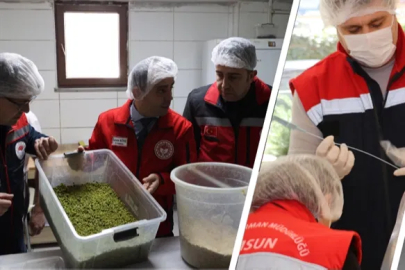 Mayısta 82 Bin 481 Gıda Denetimi Gerçekleştirildi
