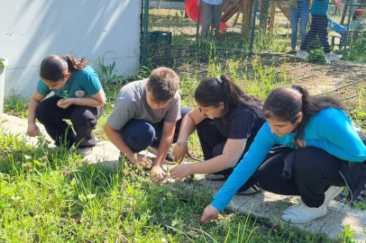 Öğrenciler Kendi Bitkilerini Yetiştirecek