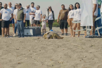 Caretta Caretta’ların Göç Rotalarına Uydu Takibiyle Işık Tutuluyor