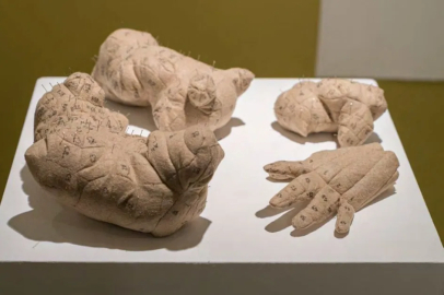 11. Hitay Vakfı Sanat Yarışması Kazananları Belli Oldu
