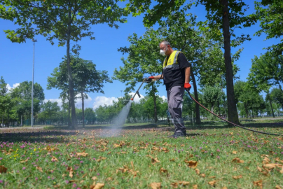 Samsun'da sivrisineklere karşı etkin mücadele