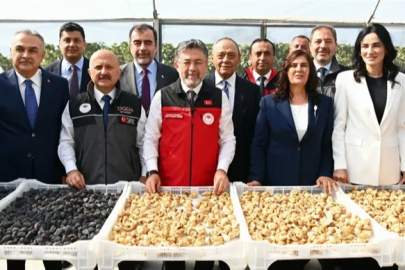 Yumaklı Açıkladı: 2026’da 94 Bin Ton Kuru İncir Rekoltesi Bekleniyor